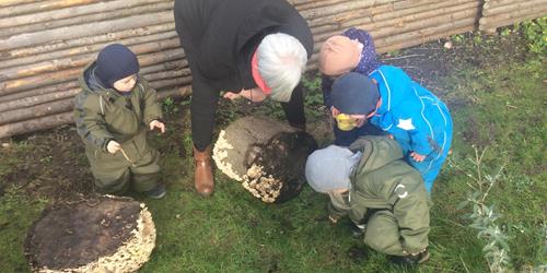 Børn og voksne der undersøger jorden under en træstub